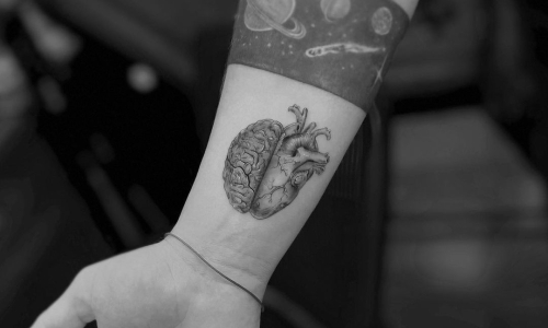 Anatomical Brain and Heart Split