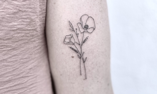 Delicate Flowers