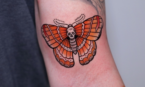 Traditional Moth