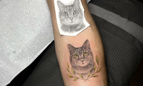 Realistic Cat Portrait