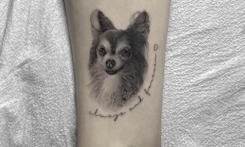 Puppy Portrait