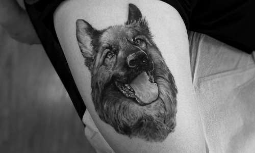 Dog Portrait