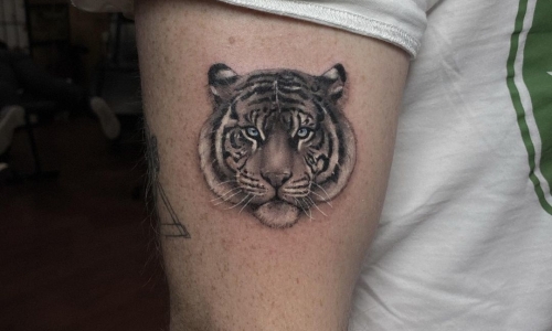 Realistic Tiger Face