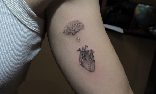 Heart and Brain