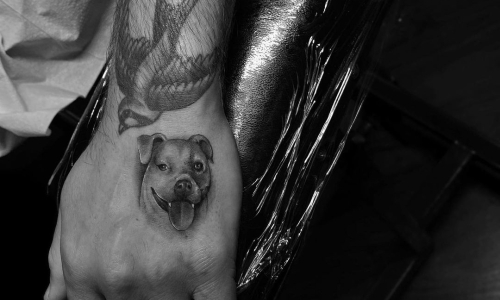 Micro Puppy Portrait