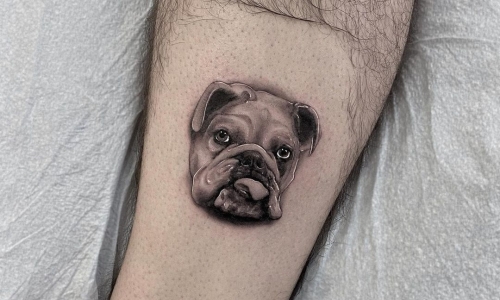 Bulldog Portrait
