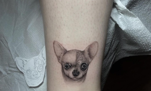Puppy Portrait