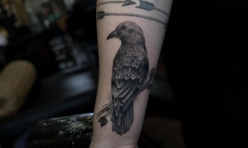 Realistic Raven