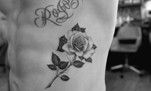 Fine Line Rose