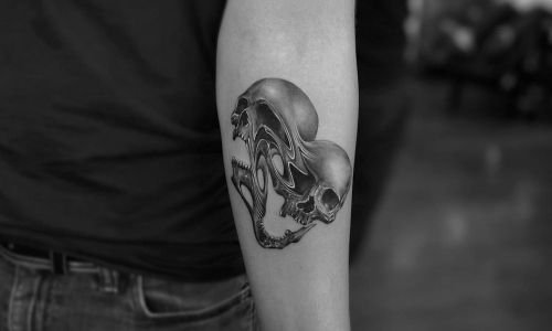 Skulls