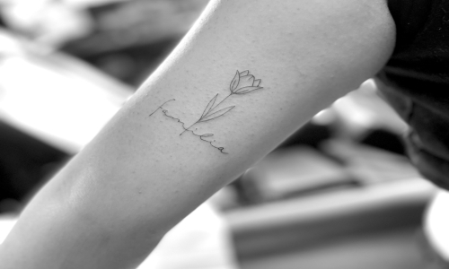 Fine Line Tulip