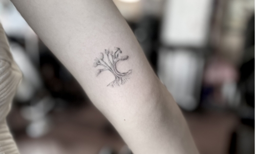Fine Line Tree