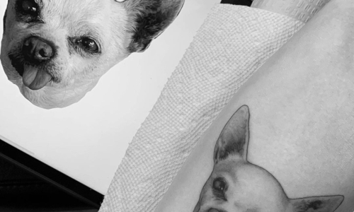 Puppy Portrait