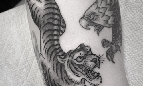Tiger vs Eagle