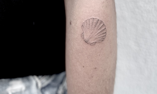 Fine Line Shell