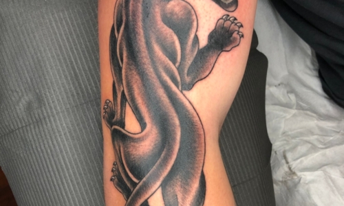 Traditional Panther
