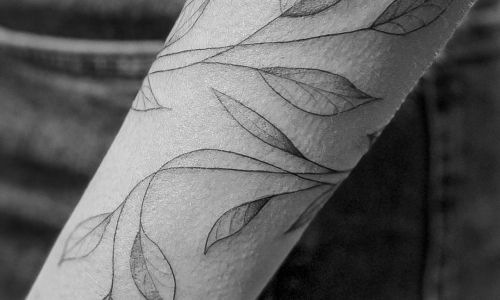 Delicate Vines