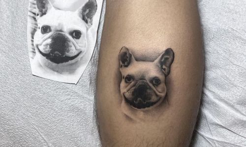 Frenchie Portrait