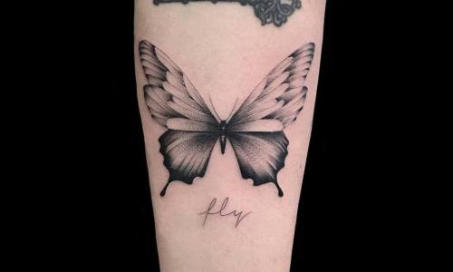 Butterfly