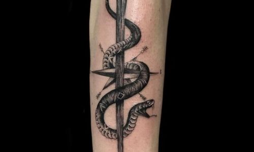 Snake and Stake