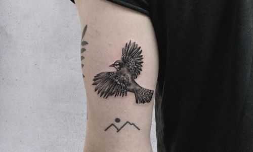 Birdy