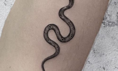 Tiny Snake