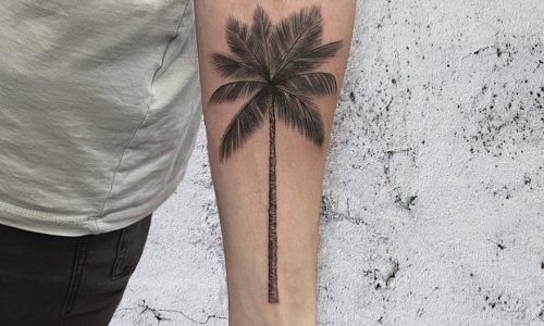 Palm Tree