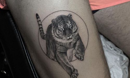 Tiger Pouncing