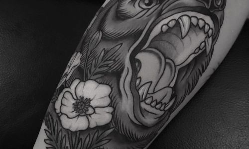 Bear Face