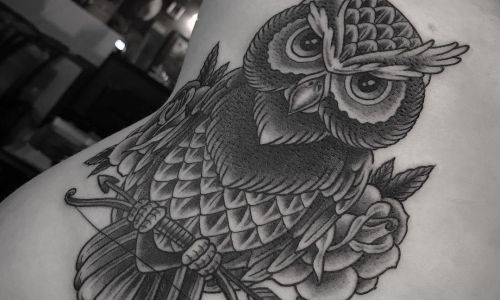 Owl