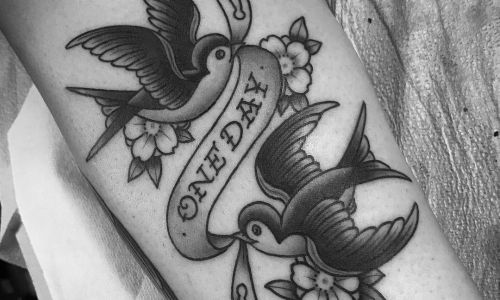 Traditional Swallows