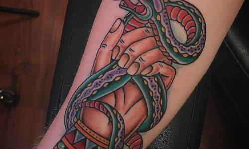 Snake Handler