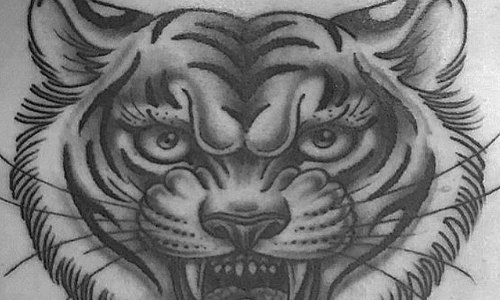Tiger Face