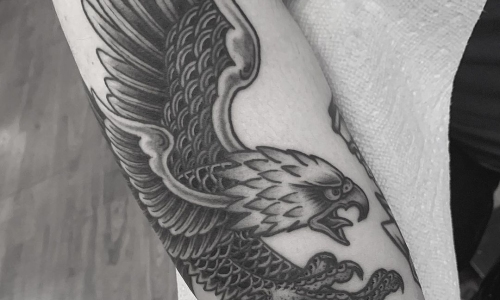 Bold Traditional eagle
