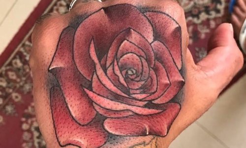 Traditional Rose