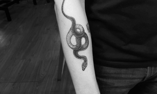 Realistic Snake