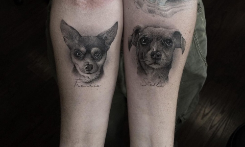 Puppy Portraits