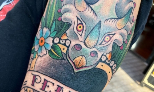 Traditional Triceratops
