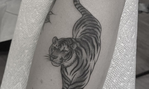Traditional Tiger