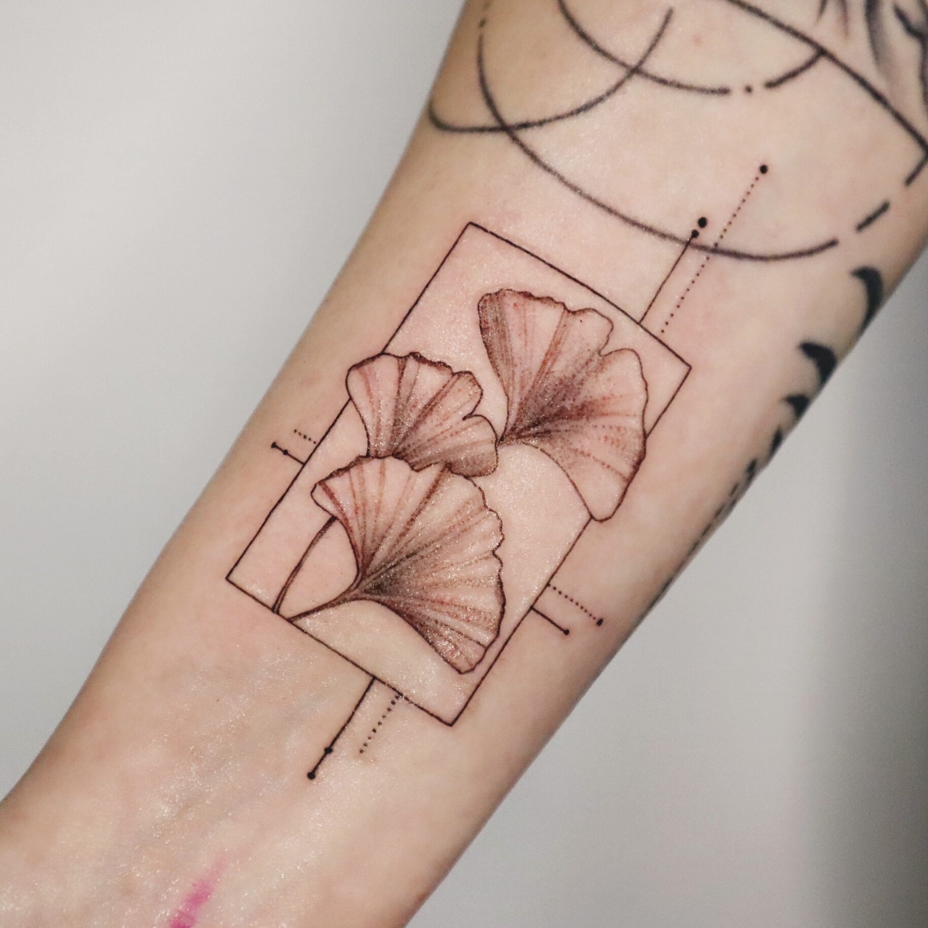 fine line tattoo touch up